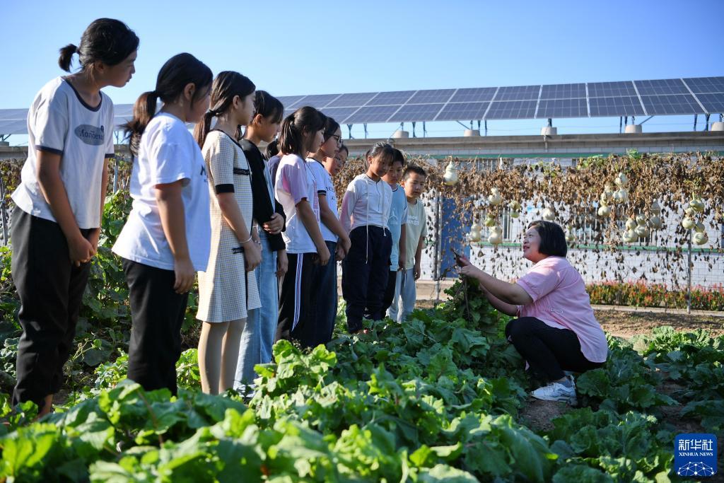 威尼斯电子游戏下载